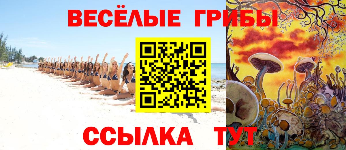 Галлюциногенные грибы Psilocybe Реж
