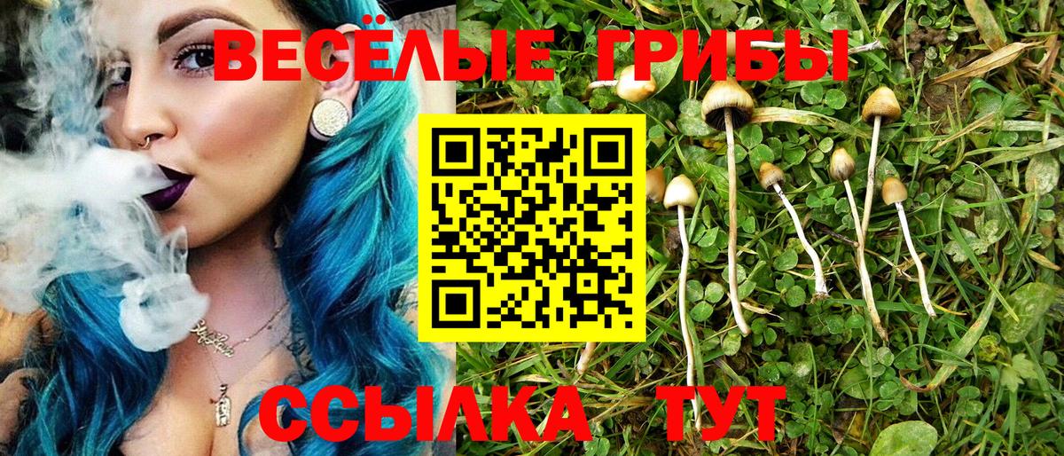 Псилоцибиновые грибы мицелий  Галлюциногенные грибы Psilocybine cubensis  Вход с VPN  Реж 